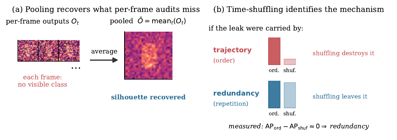 Left: averaging per-frame outputs recovers a silhouette. Right: time shuffling distinguishes trajectory from redundancy.